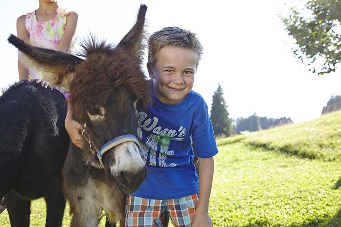 Unser Esel Benjamin