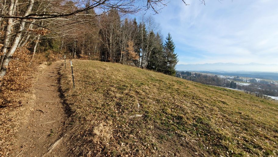 Pfadabschnitt auf dem Römerweg