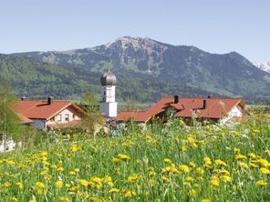 Blick zum Grünten