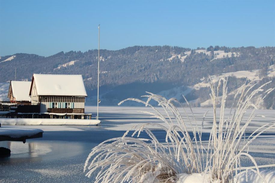 Grosser Alpsee