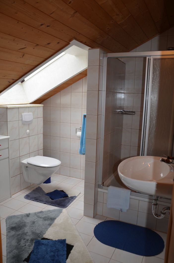 Dusche und WC in Fewo Bergblick