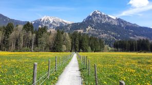Wanderweg im Frühling
