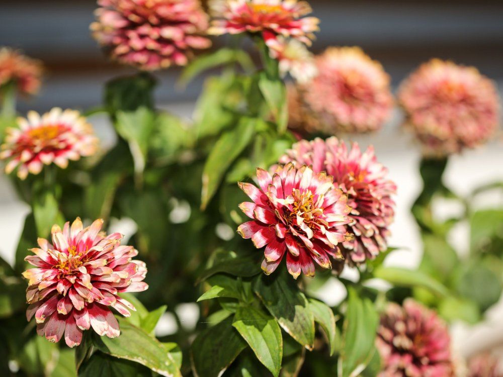 Zeit die Seele baumeln zu lassen