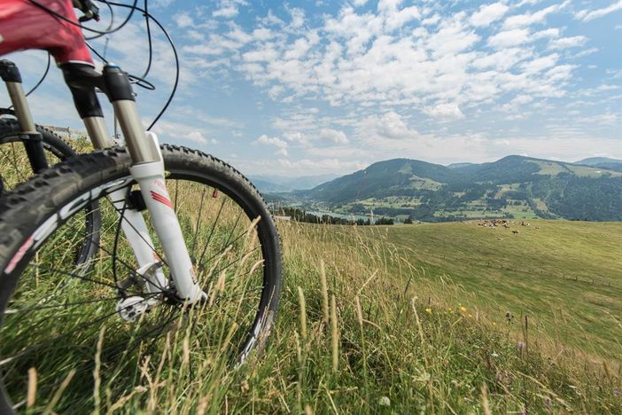 Mountainbiken4