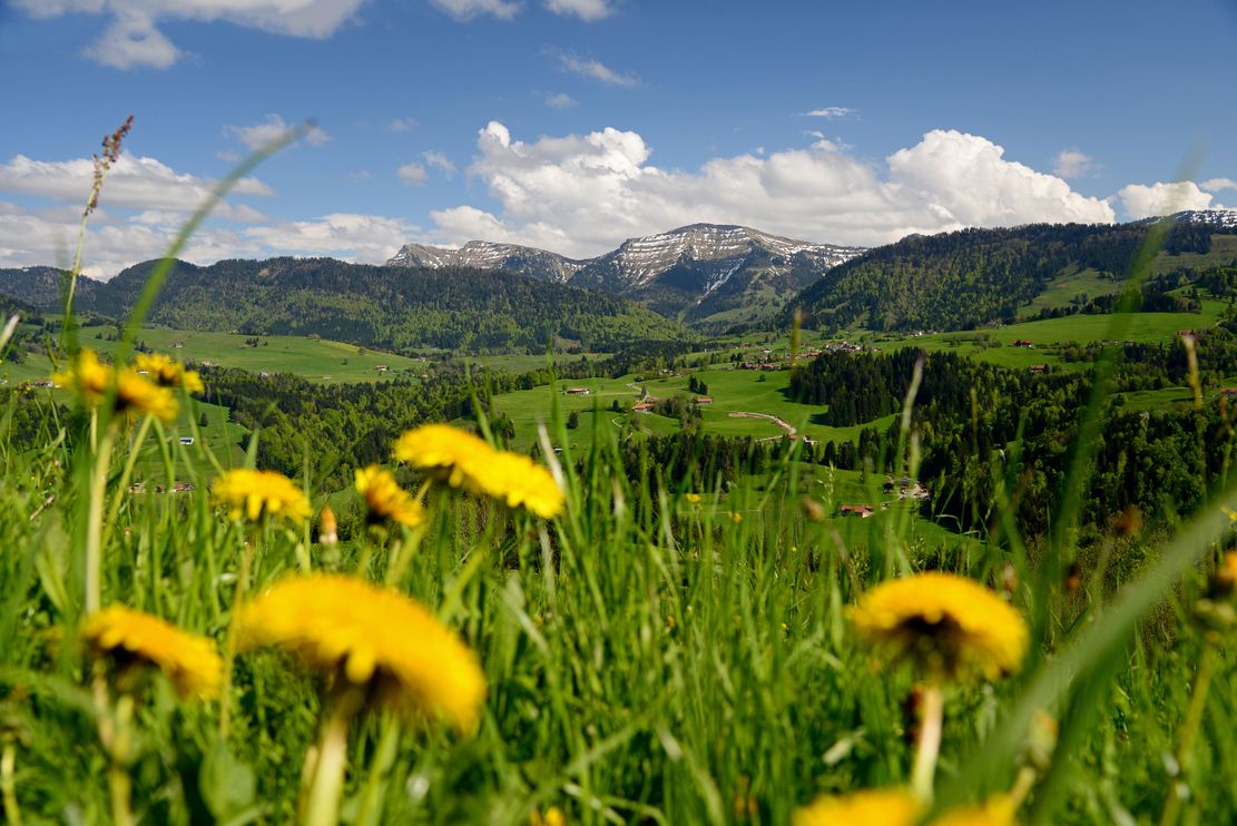 Kulturlandschaft Allgäu