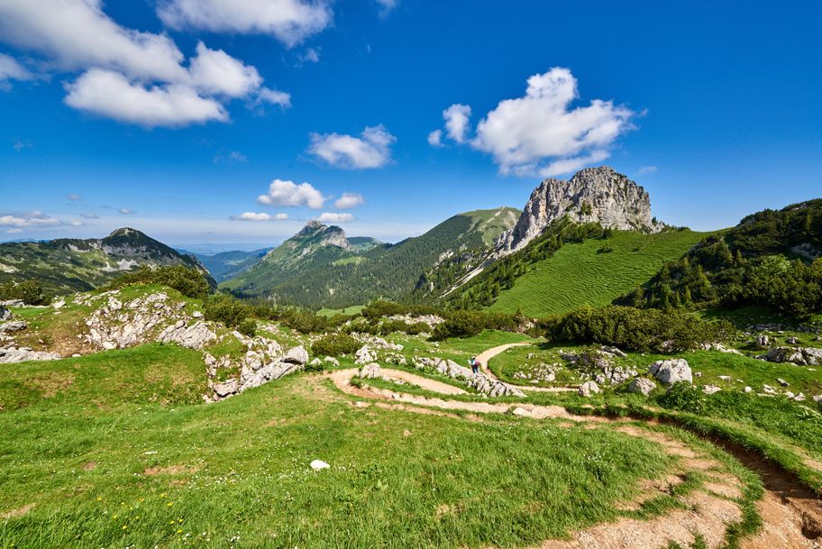 Sebenalm (1.650 m)