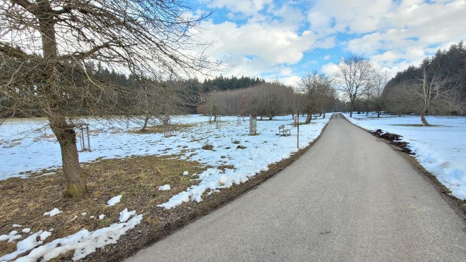 Stadtwaldrunde in Buchloe