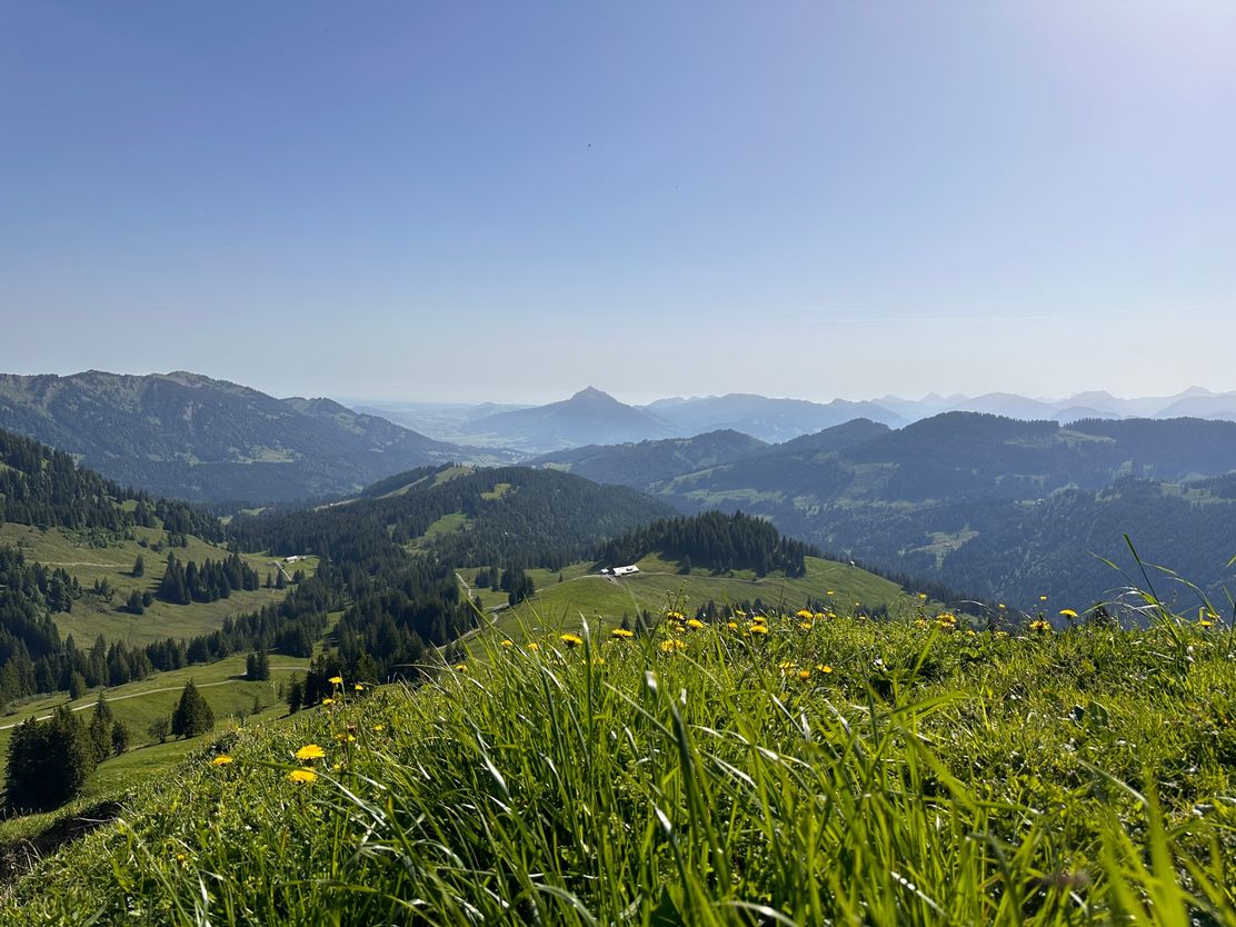 Blick vom Bleicherhorn Richtung Alpe Höllritzen und Grünten im Hintergrund