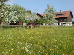 Hochreuthen im Frühjahr