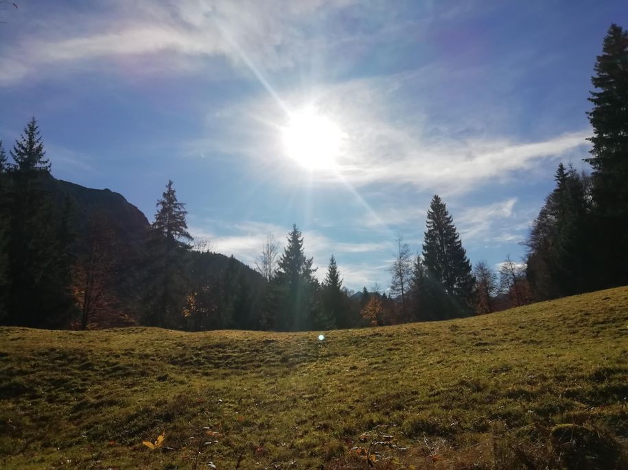 Herbststimmung