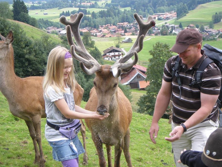 Fütterung Rudi
