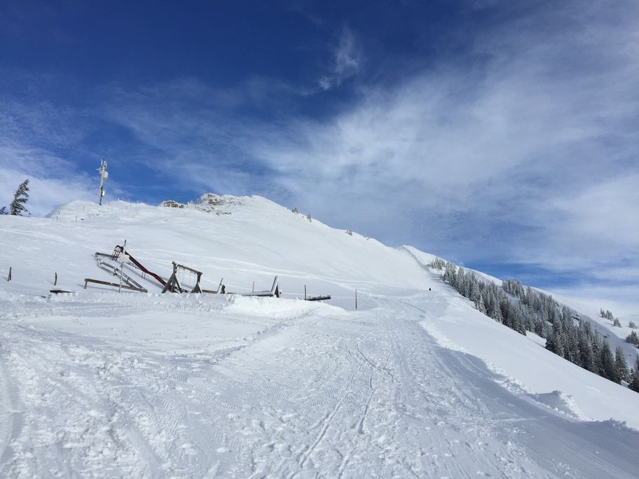 Blick Richtung Hochgrat-Gipfel