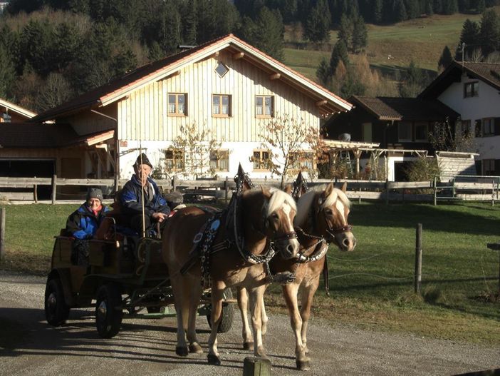 Kutschfahrt HinangCIMG0872