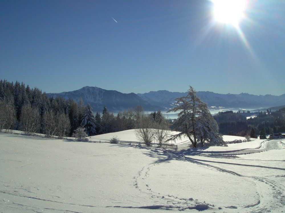 der Schnee glitzert in der Sonne