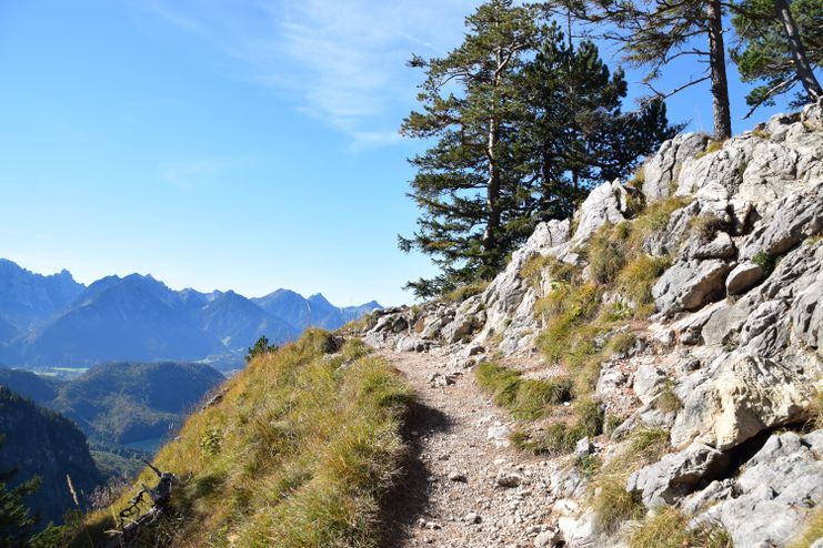 Kleine Kletterstelle auf dem Weg zum Tegelberg