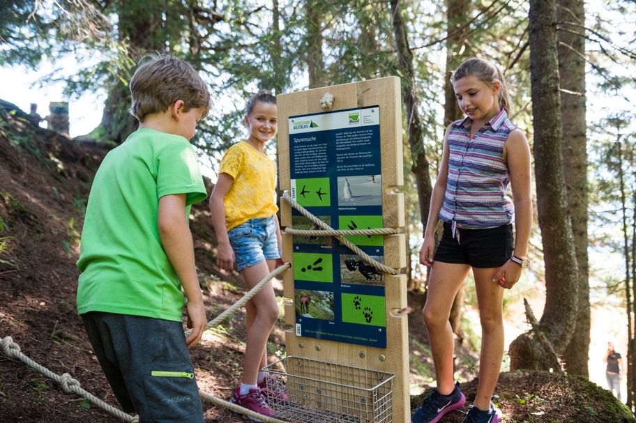 Steinzeitbandolino in Bolsterlang