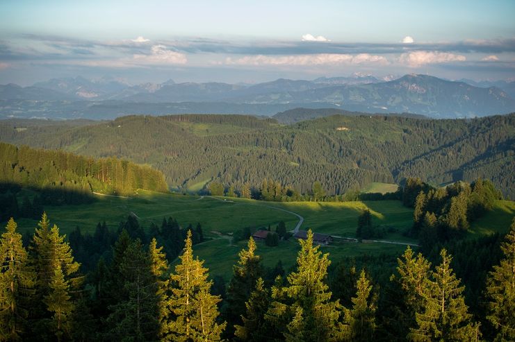 Aussicht vom Turm Schwarzer Grat