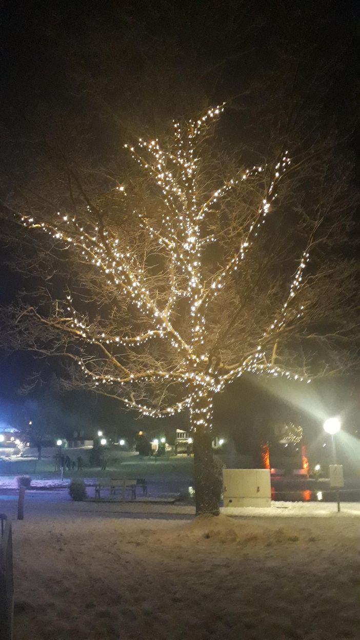 Im Kurpark