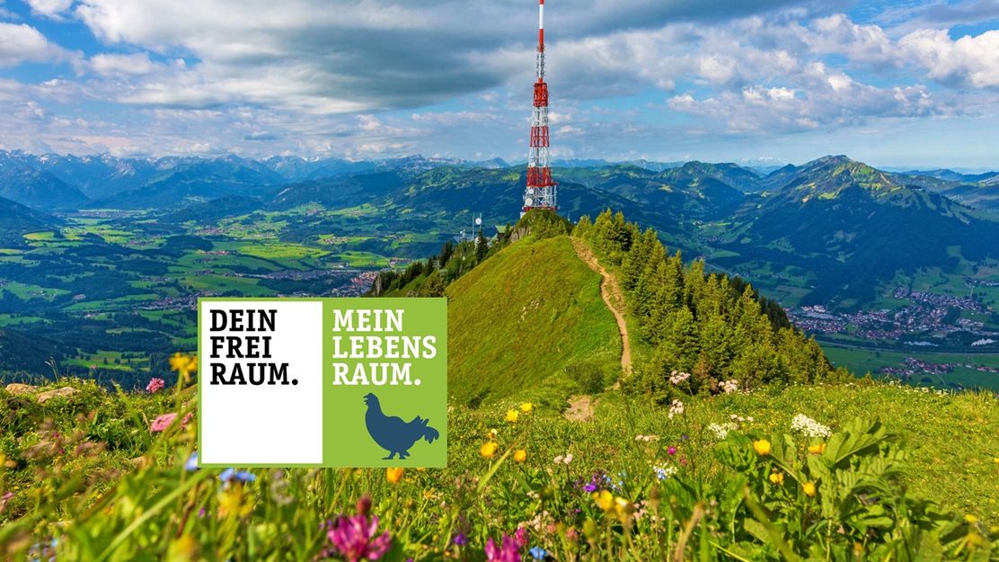 Grünten Gipfel - Fotograf: Dominik Ultes