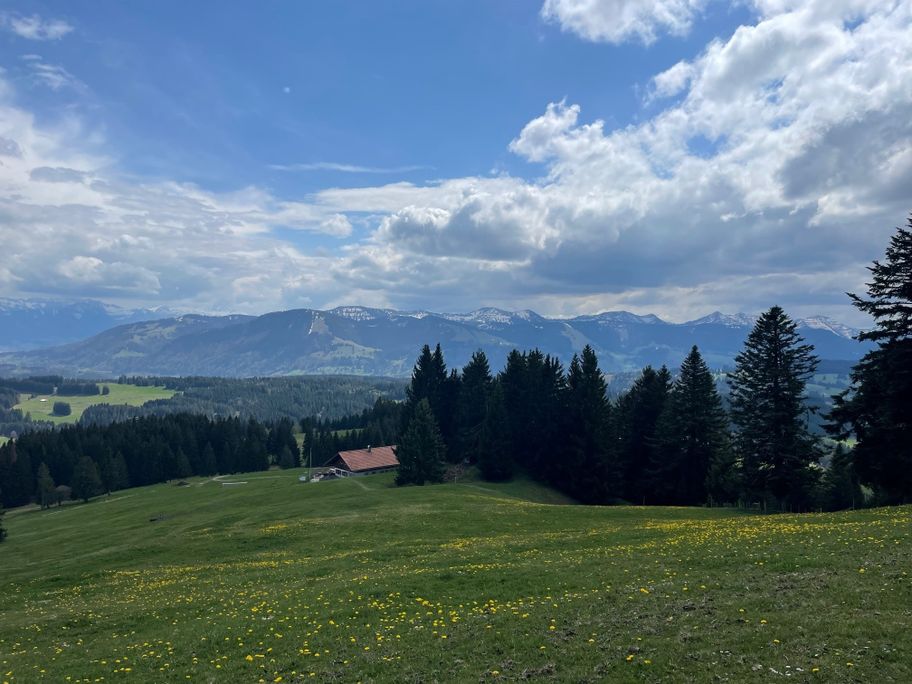 Aussicht vom Hauchenberg