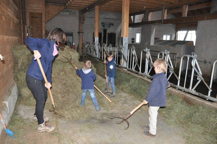 Mitarbeit bei der täglichen Stallarbeit