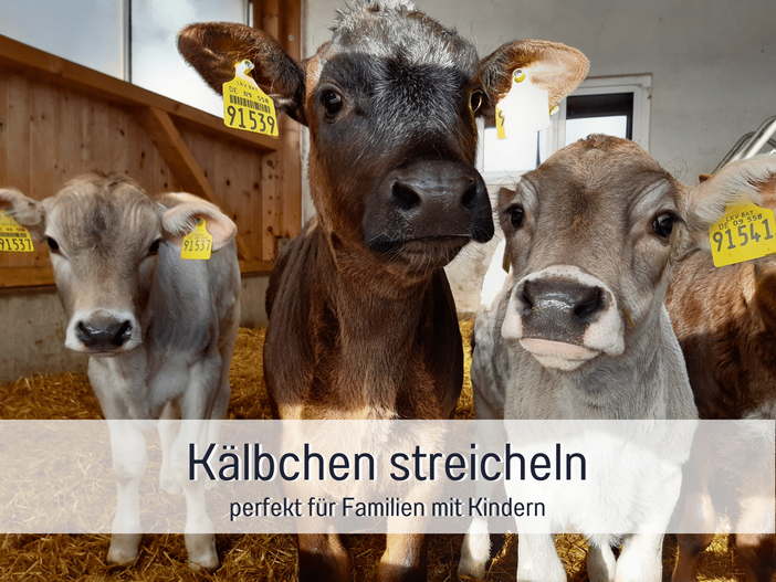 Kälber