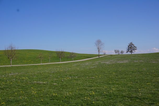 Idyllegarten-Route