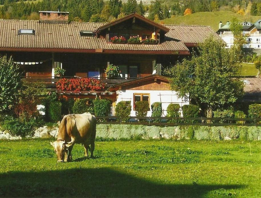 Haus Zint