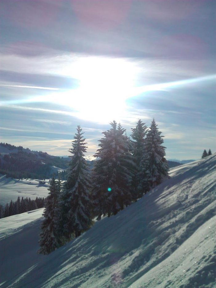 Winterpanorama