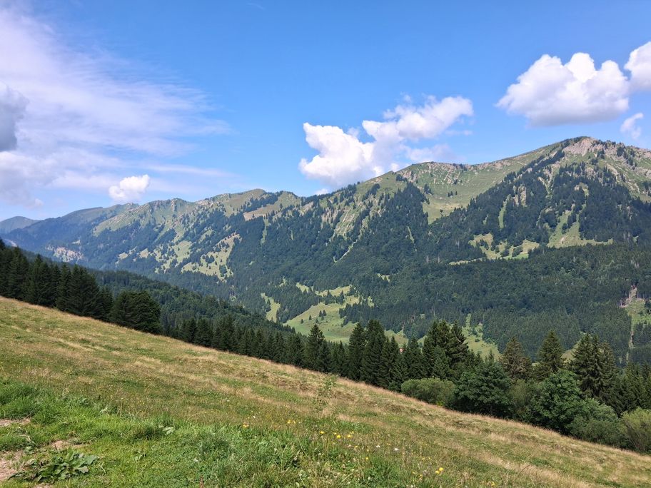 Gunzesried: Birkachmoor