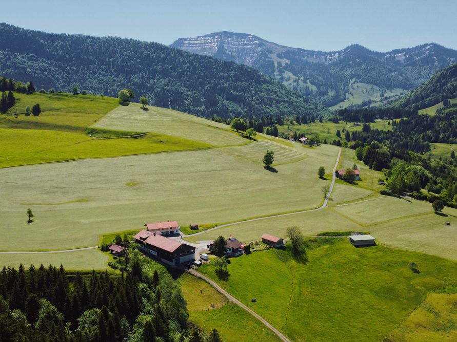 Drohnenaufnahme Hochgrat