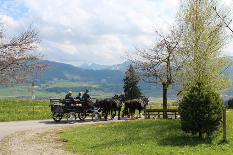 Kutschfahrt durch die Wertacher Landschaft