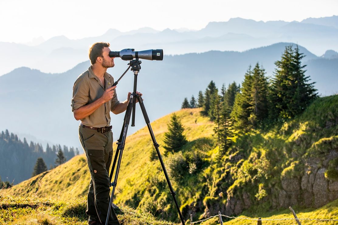 Im Reich des Steinadlers