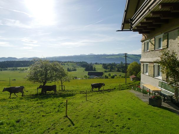 Greifen