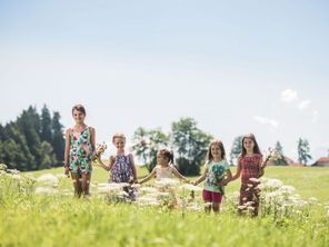 Frühlingserwachen