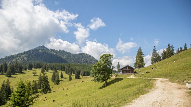 Die Bärenmoosalpe am Kienberg