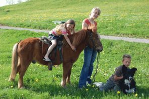 Ponyreiten