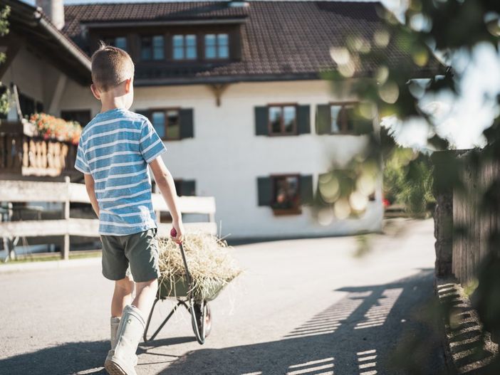 Beim Bergbauern Zeller_wenn Kinder mithelfen dürfen
