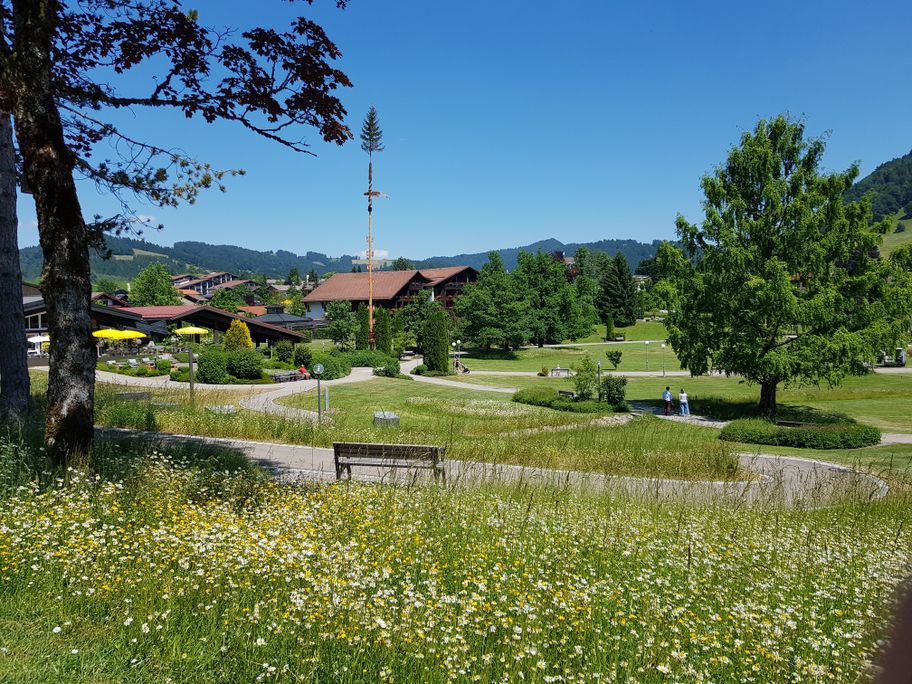 Wildblumenwiese im Oberstaufen PARK