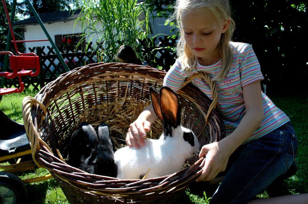 Bei uns werden Ihre Kinder schnell zu Katzen- und Hasenmamas