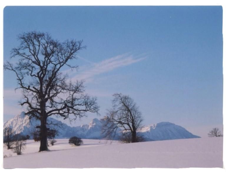 AussichtWinter Richtung Breitenberg/ Aggenstein