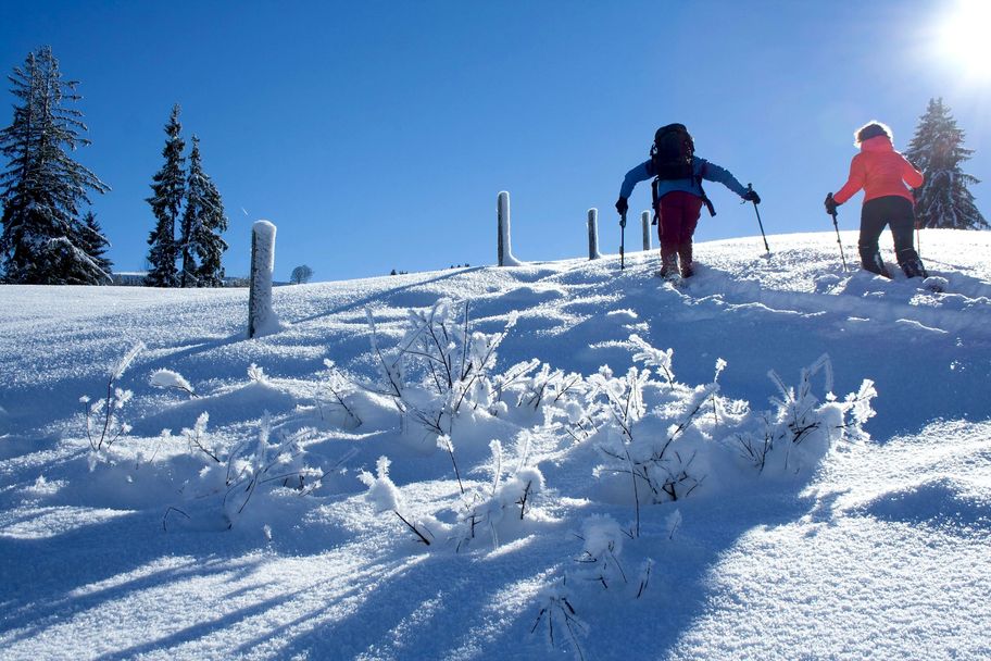 Schneeschuhwanderer bei Neuschnee