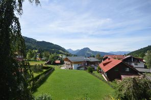 Ausblick - Silberdistel