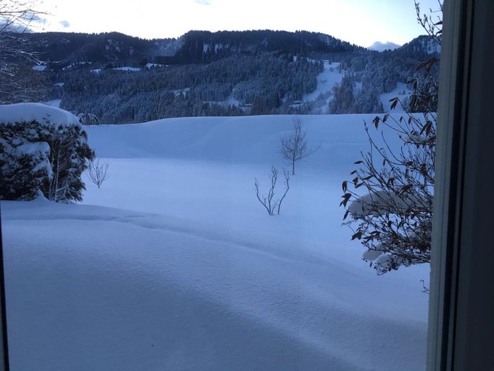 IMG-20190407-WA0025