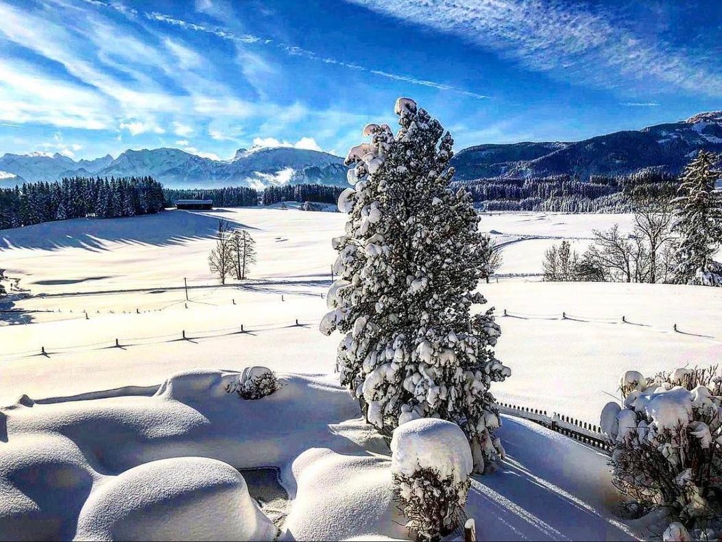 Garten und Ausblick von der Wohnung im Winter