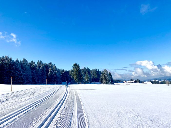 Loipe in der Umgebung