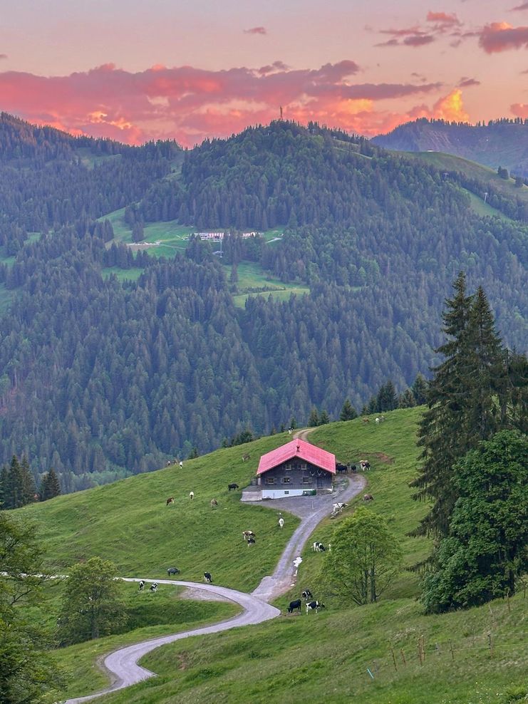 Balderschwang-Sommer_c_Hillmann_16