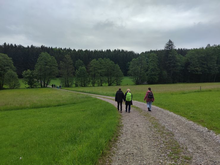 Wanderung Stadtwald Mindelheim