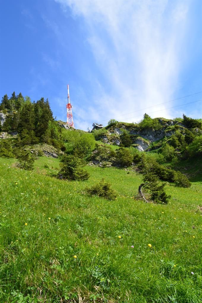 Auf dem Weg zum Grünten