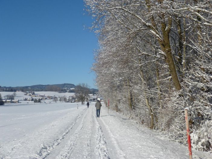 Iller-Wanderweg